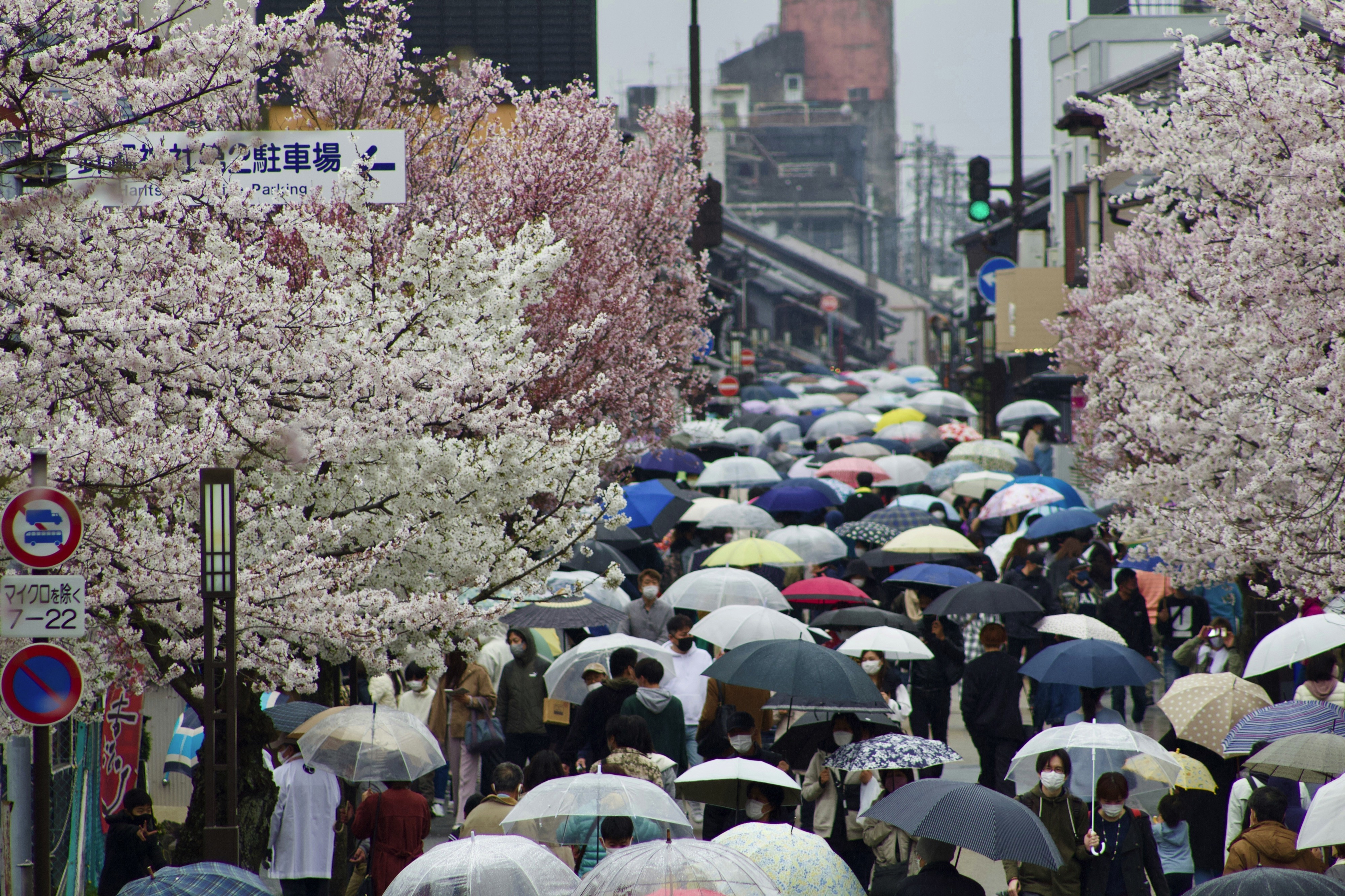 Japan, Aichi, Inuyama, Kitakoken−65-2 犬山城