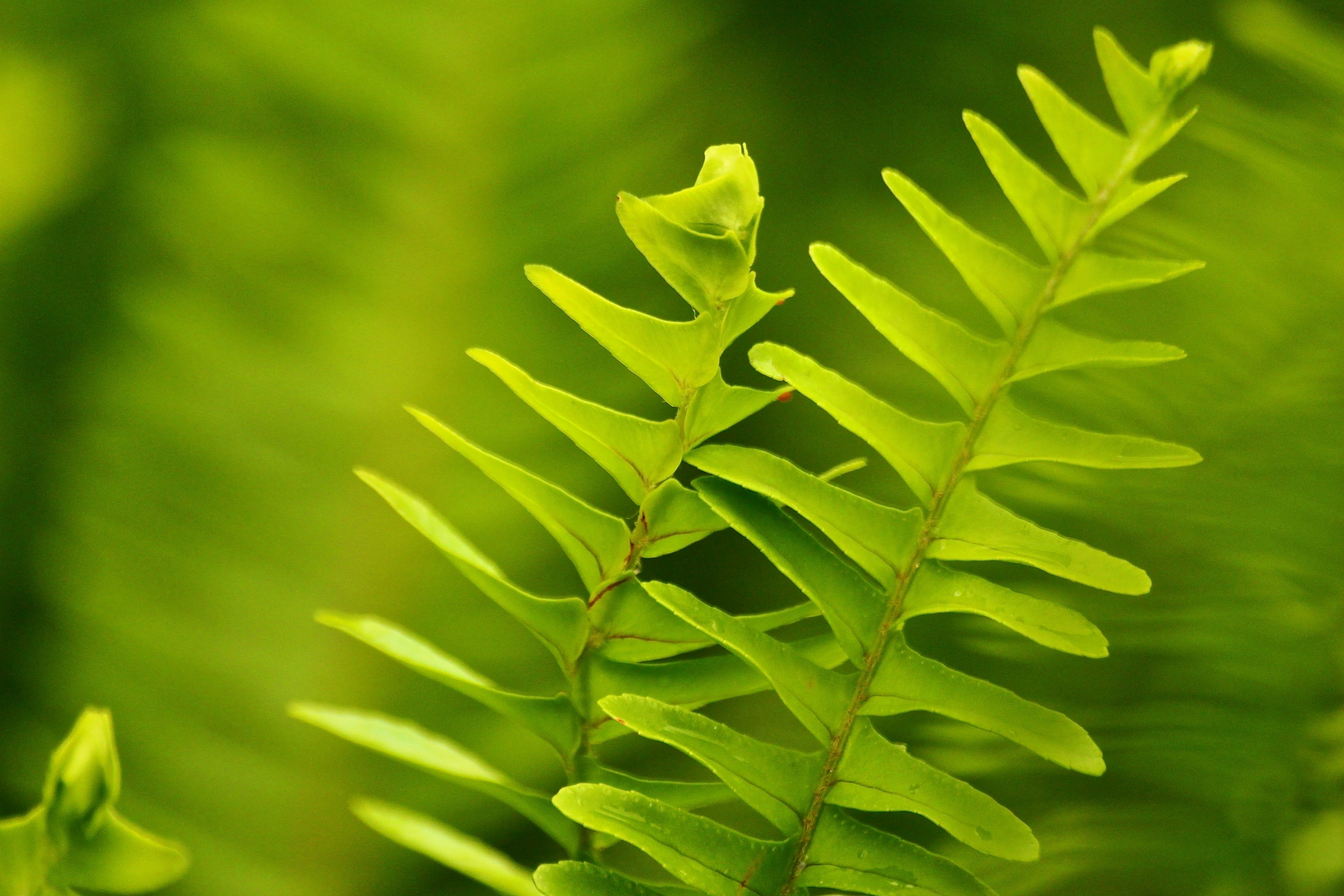 Guilin, Guangxi, China