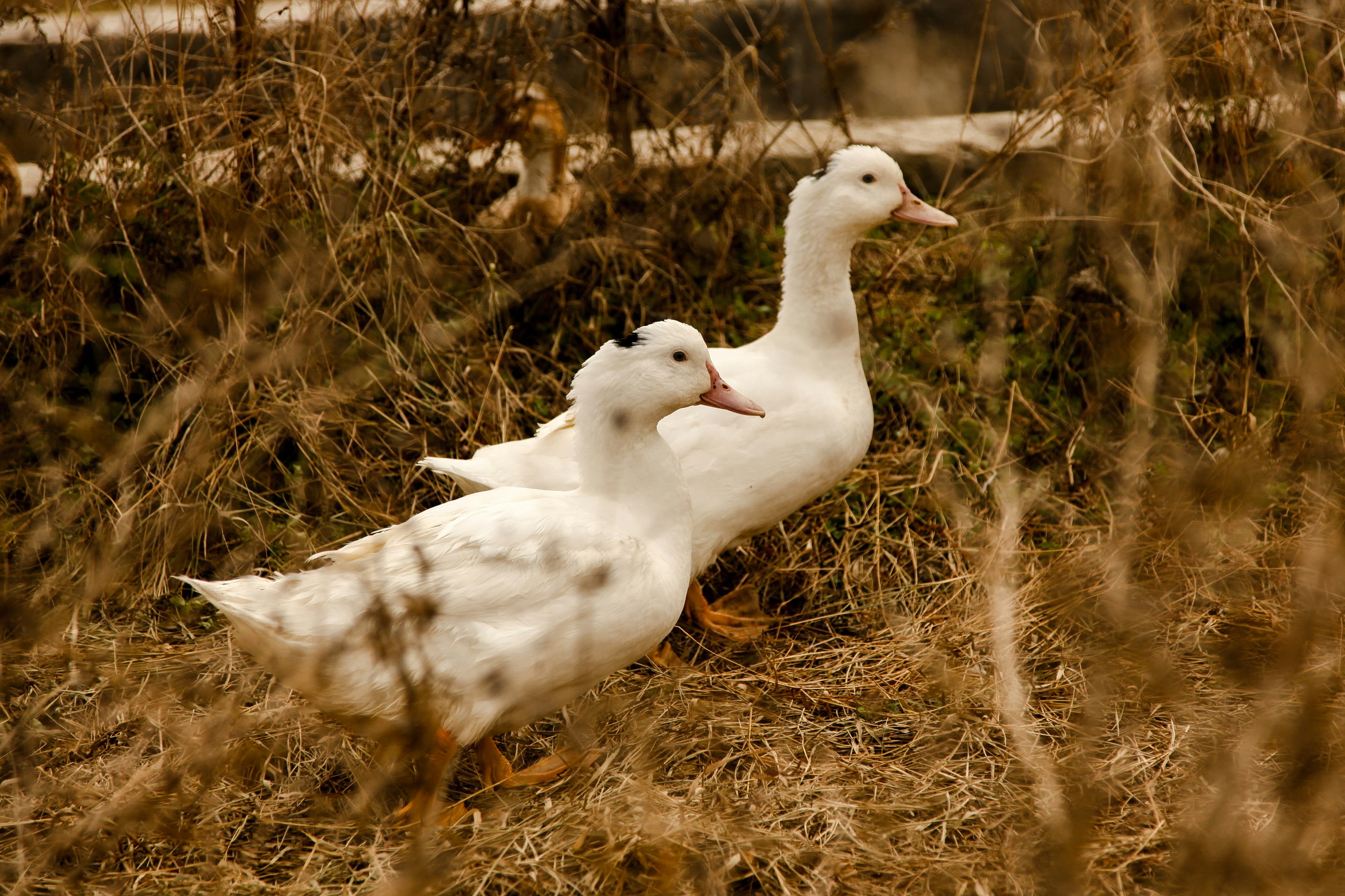Guilin, Guangxi, China