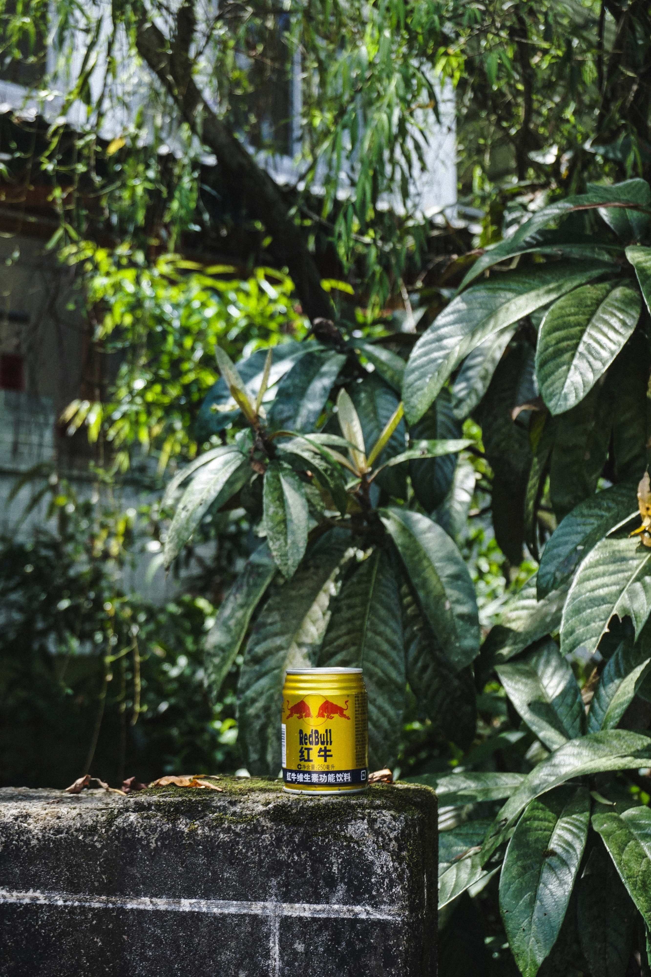 Yangshuo, Guilin, Guangxi, China