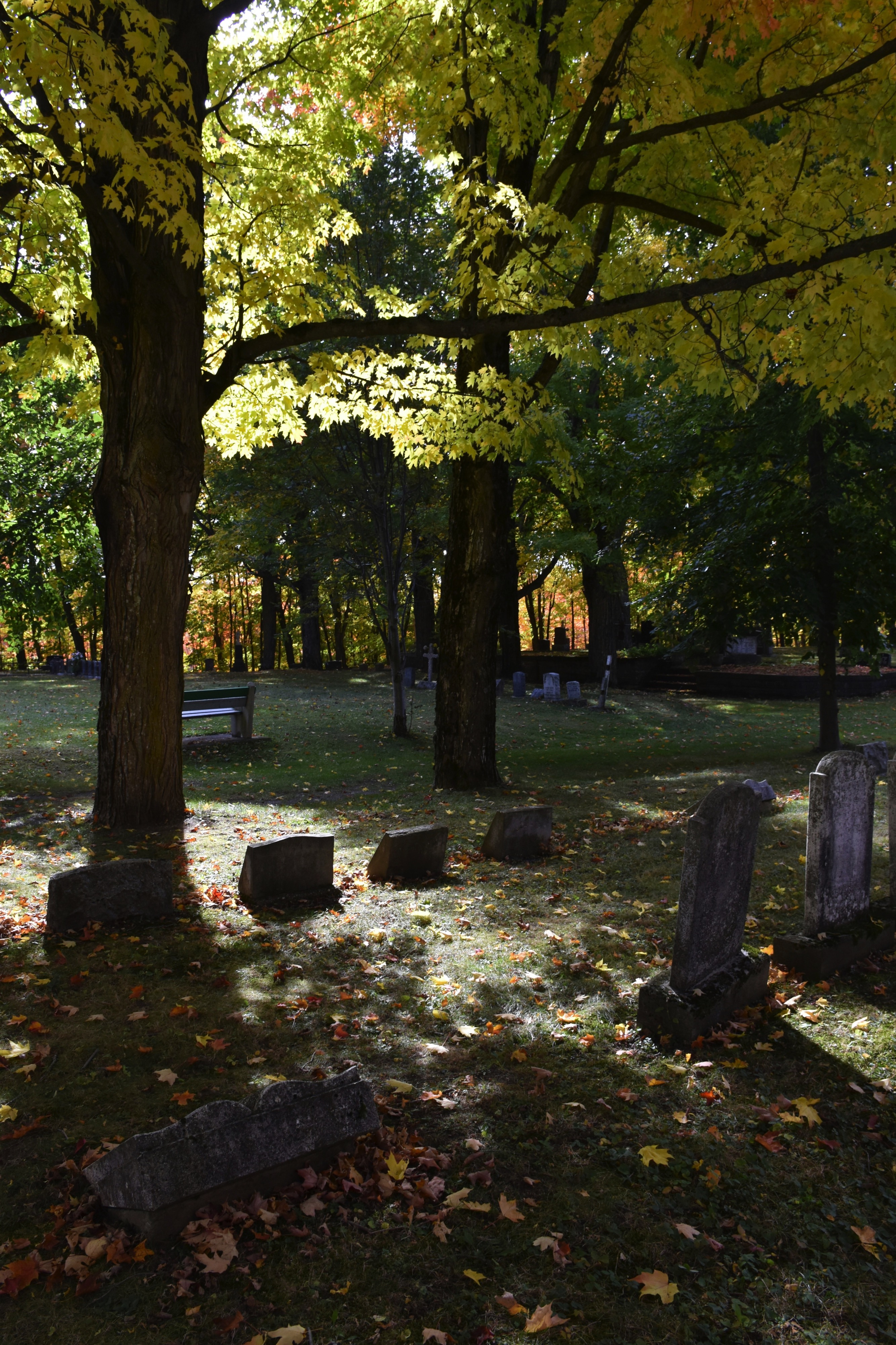 Saint-Pierre-de-la-Rivière-du-Sud, QC, Canada