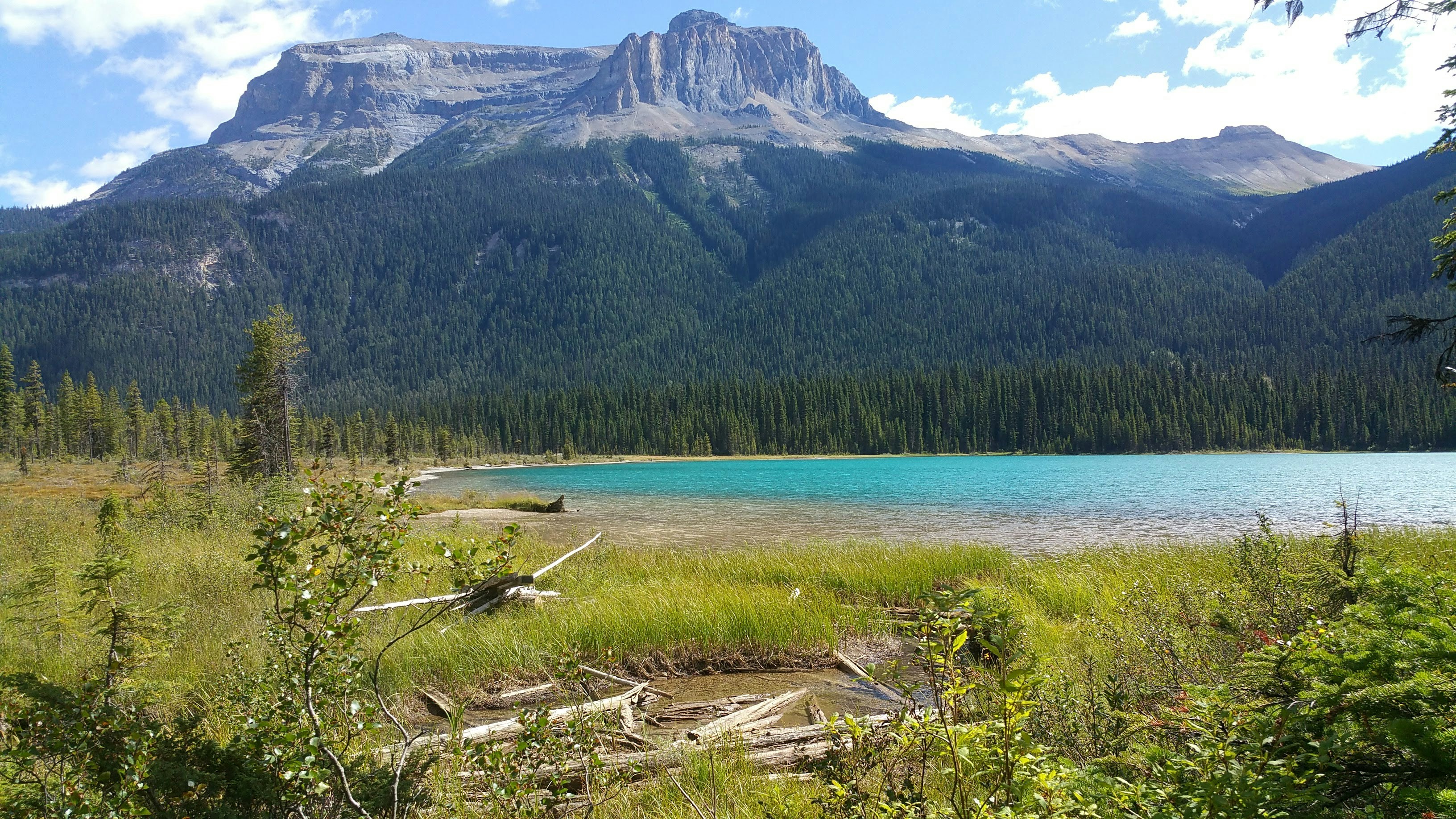 Emerald Lake, Yoho National Park, Columbia-Shuswap A, British Columbia, Canada