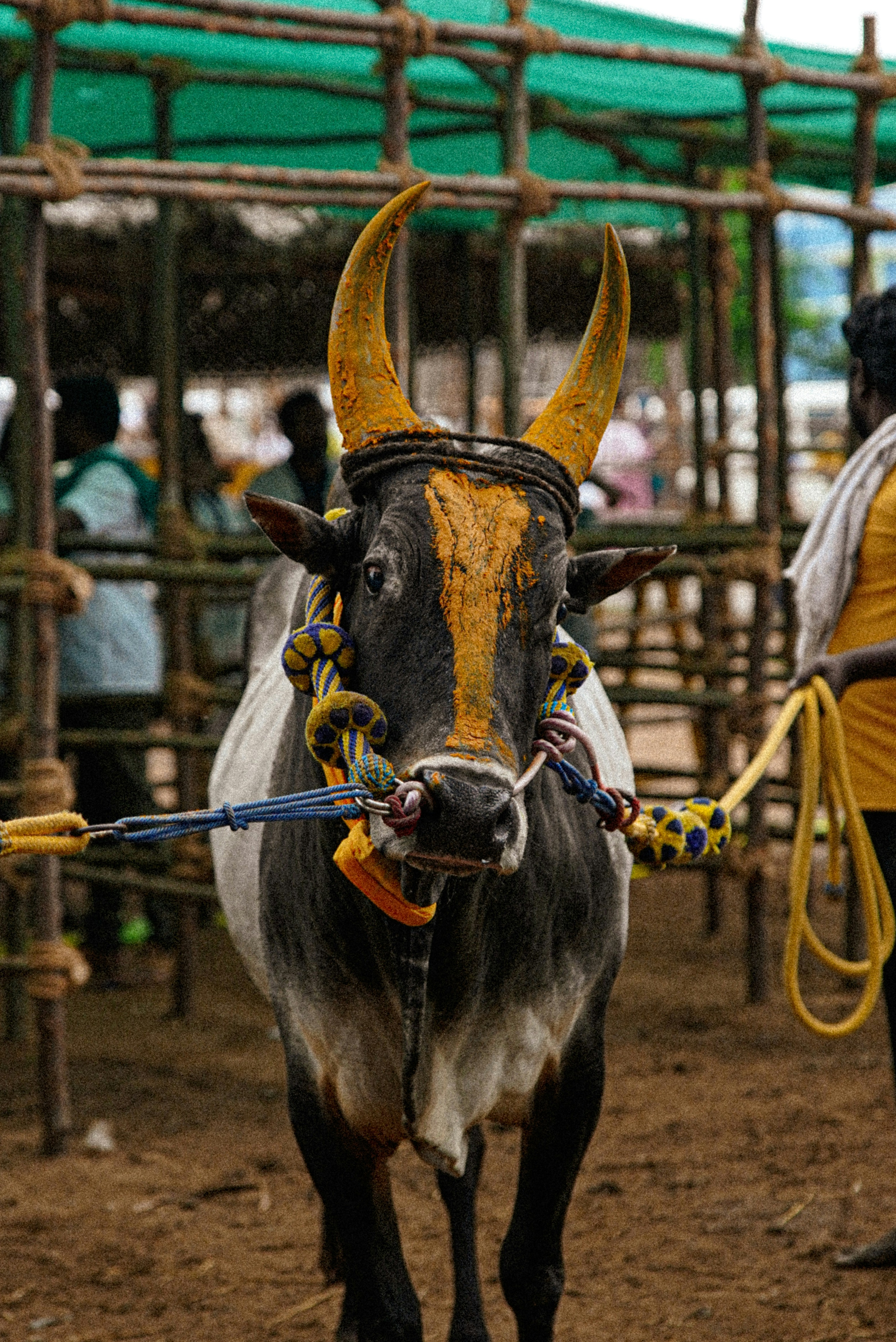Madurai, Tamil Nadu, India