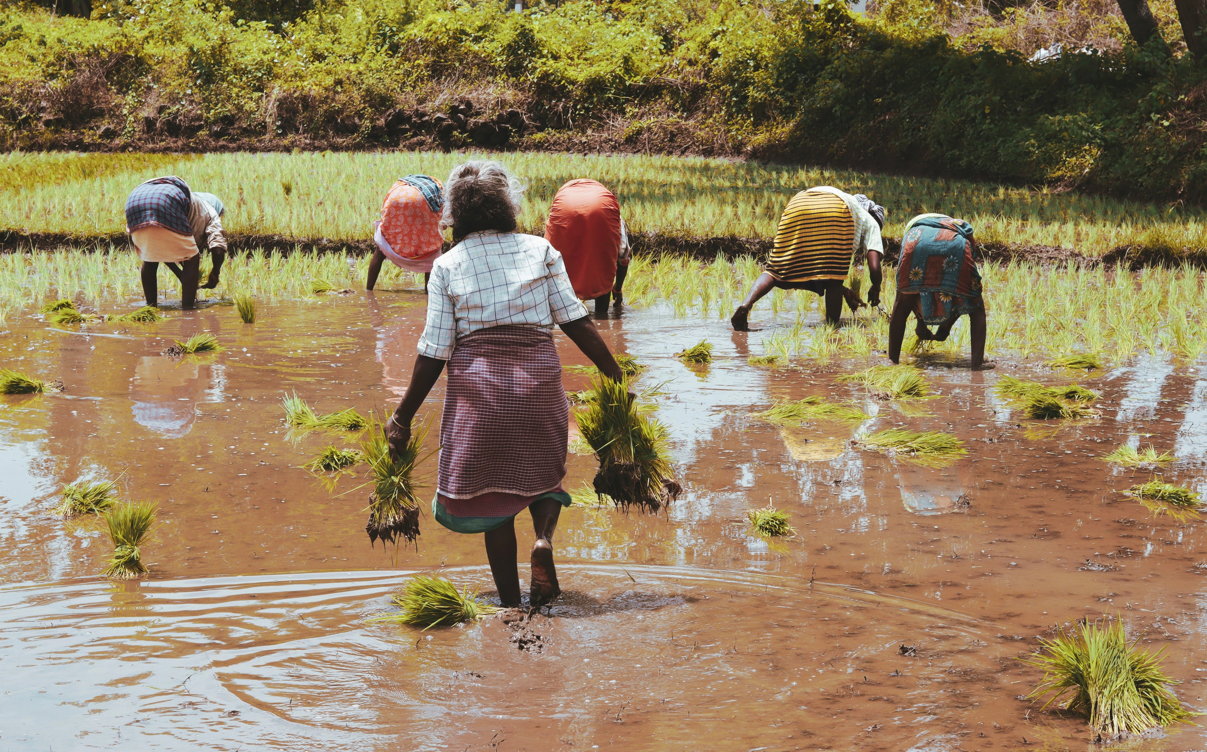 Madurai, Tamil Nadu, India