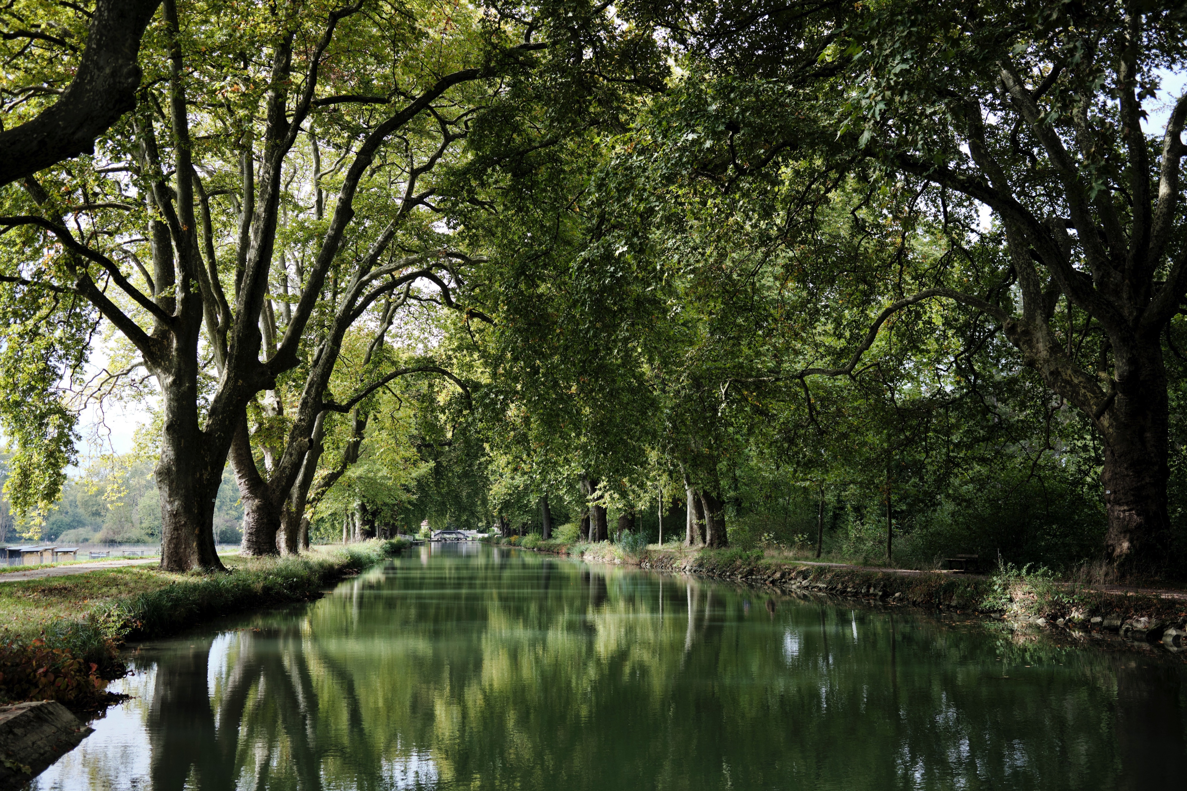 Tranquil autumn scene captures the beauty of nature in Dole, France.