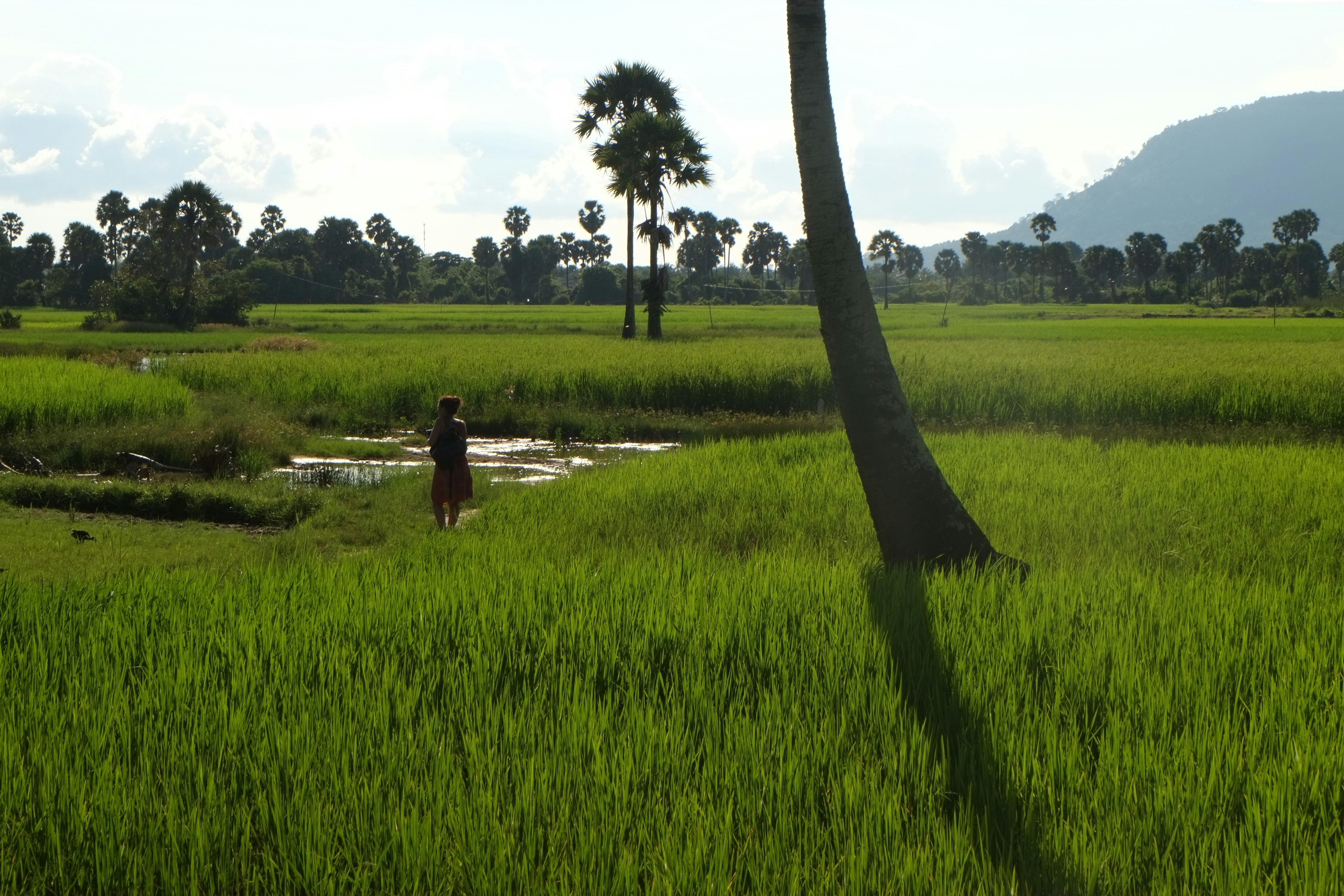 Fish Island, Kampot, Cambodia