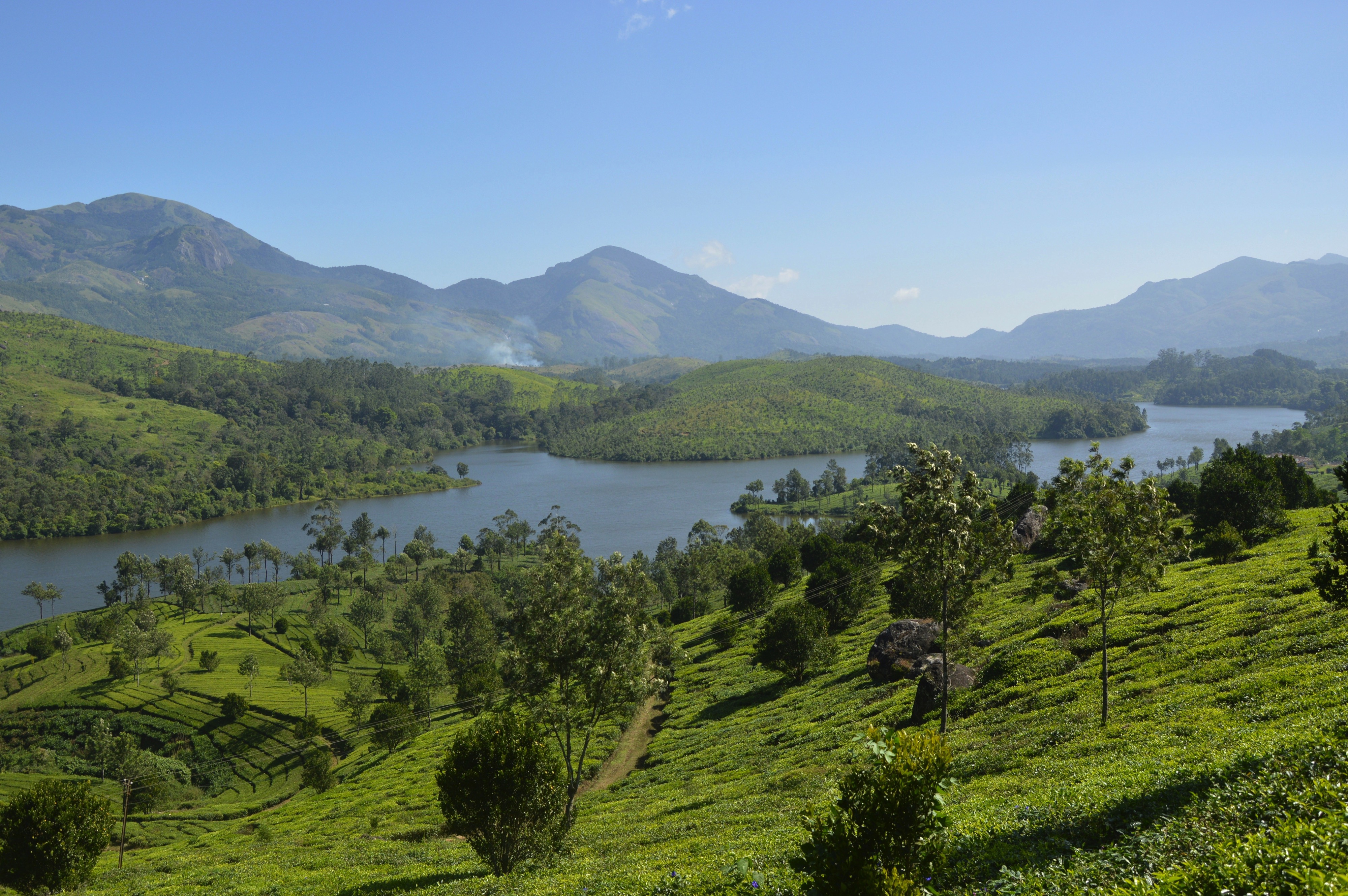 Munnar, Kerala, India