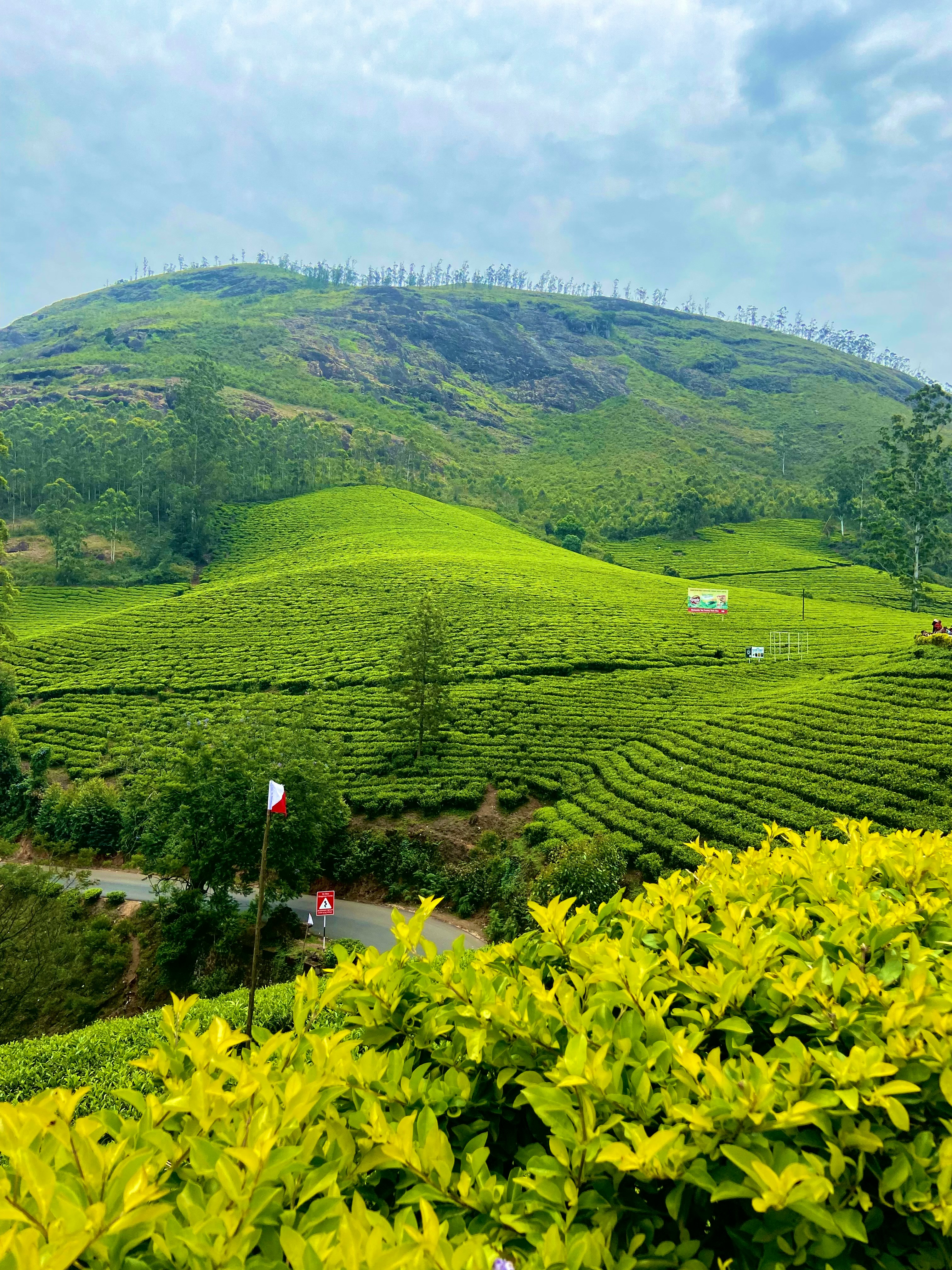 Munnar, India