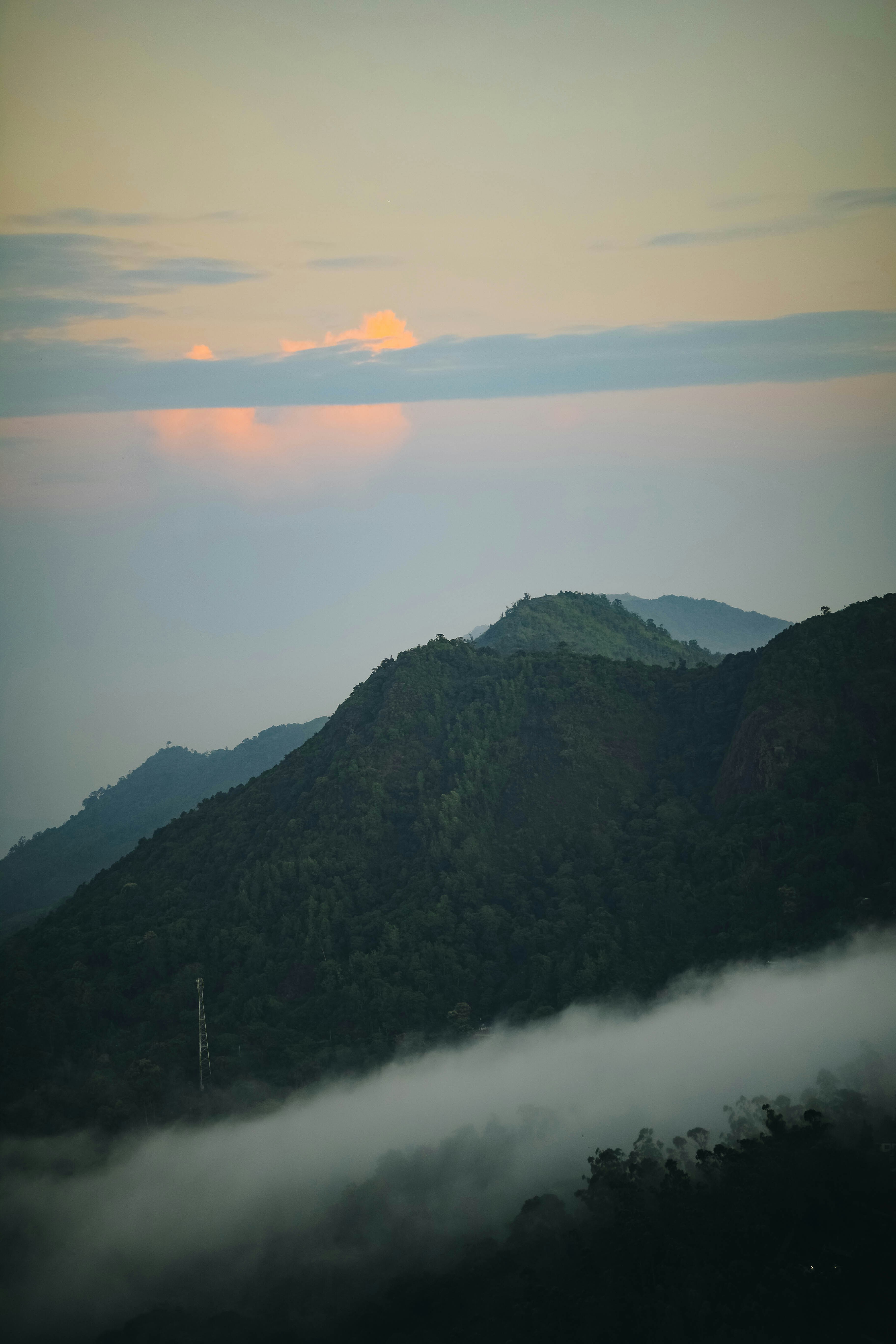 Munnar, Kerala, India