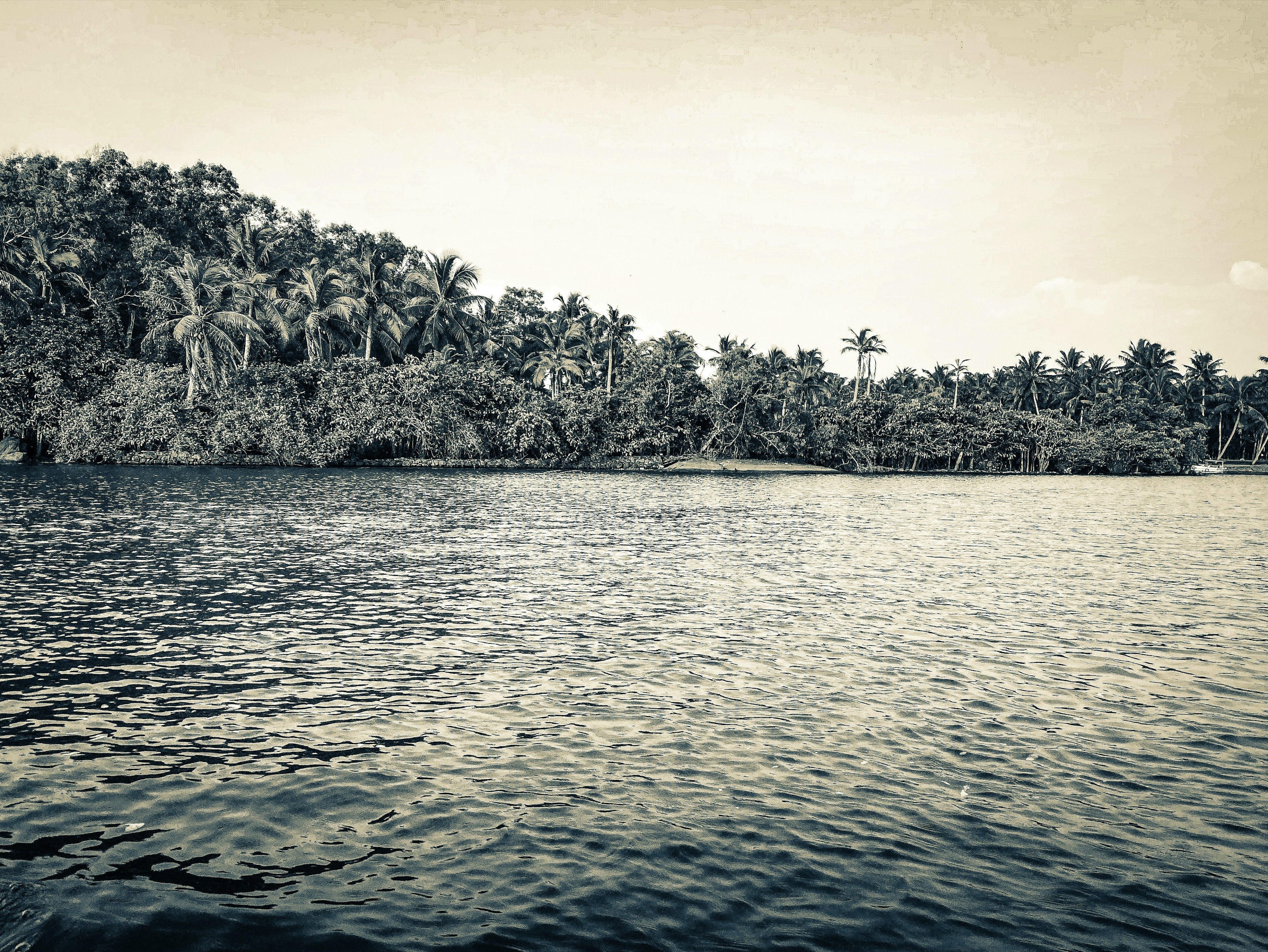 Munnar, Kerala, India