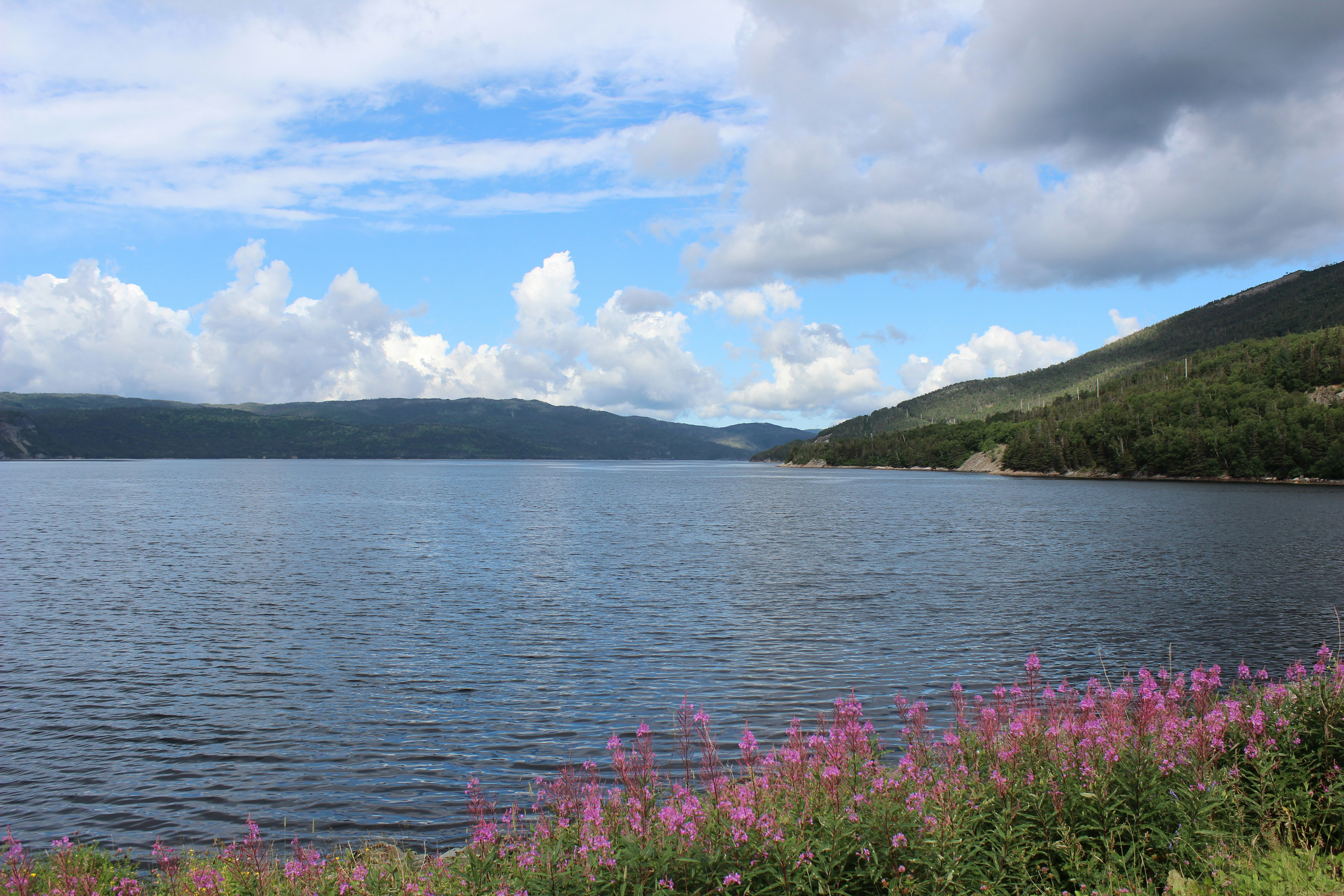 Gros Morne National Park, Newfoundland and Labrador, Canada