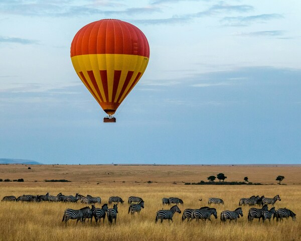 Maasai Mara National Reserve, Narok County, Kenya