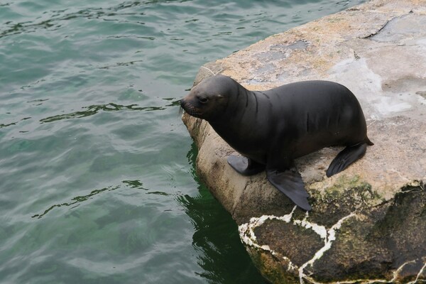 Zoo am Meer Bremerhaven, Hermann-Henrich-Meier-Straße, Bremerhaven, Germany
