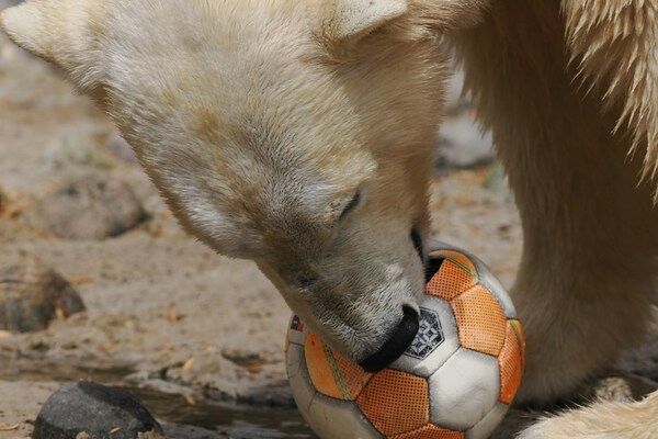 Zoo am Meer Bremerhaven, Hermann-Henrich-Meier-Straße, Bremerhaven, Germany