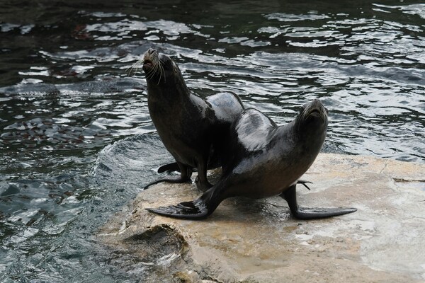 Zoo am Meer Bremerhaven, Hermann-Henrich-Meier-Straße, Bremerhaven, Germany