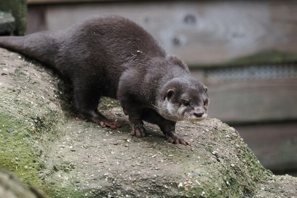 Zoo am Meer Bremerhaven, Hermann-Henrich-Meier-Straße, Bremerhaven, Germany