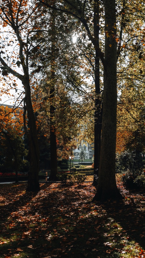 Avilés, Asturias, Spain