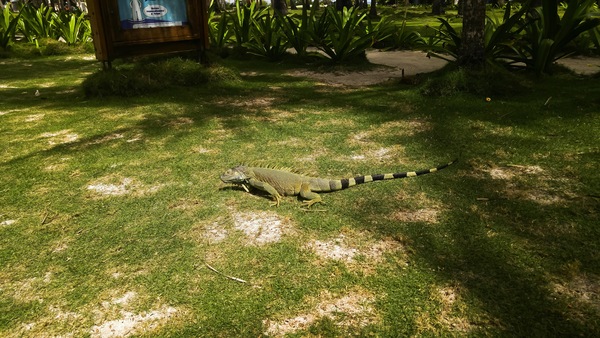 San Andrés, Santo André, Colômbia