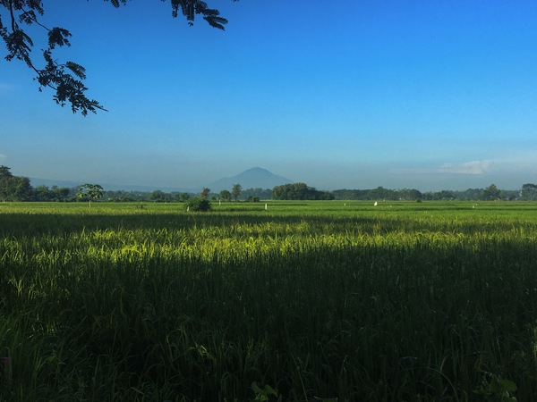 Besuk, Probolinggo, Indonesia