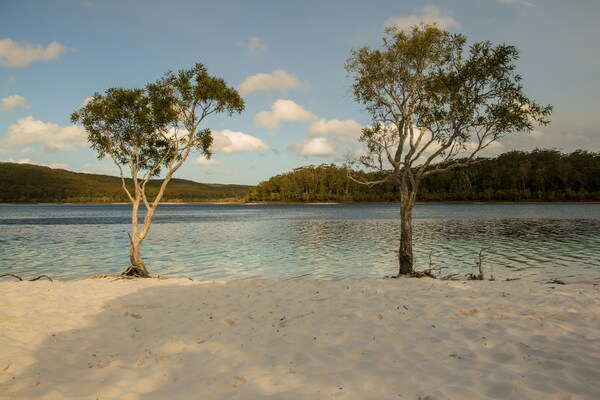 On a guided tour of Fraser Island in Queensland Australia