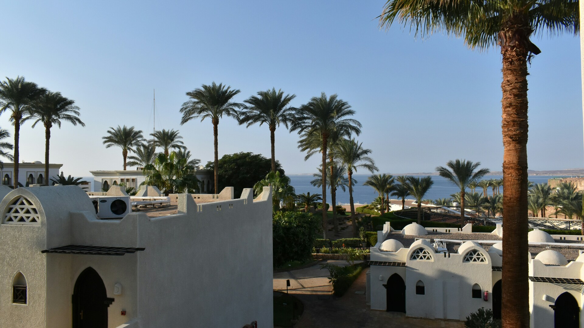 Cruise Image 1