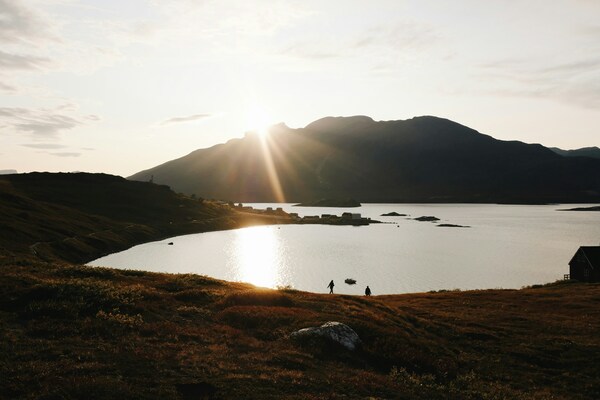 Kapisillit, Grønland