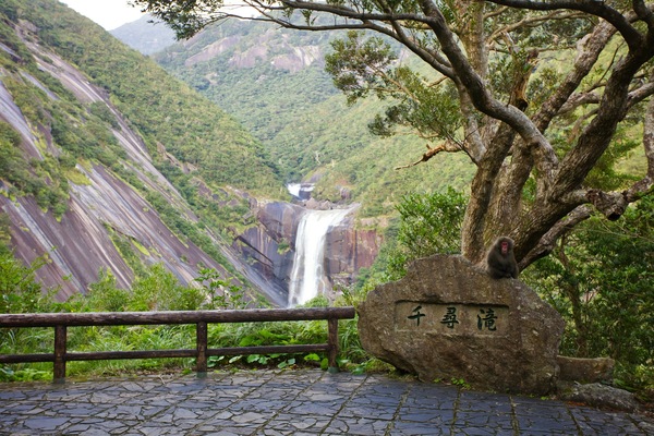 Yakushima Island, Yakushima, Kagoshima, Japan