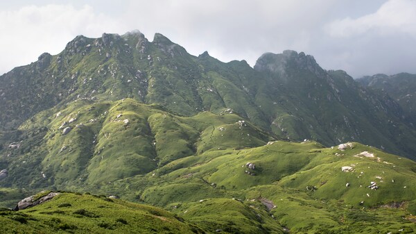 Yakushima Island, Yakushima, Kagoshima, Japan