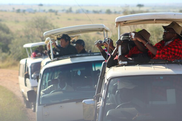 The Second Largest Migration on Safari - tourists