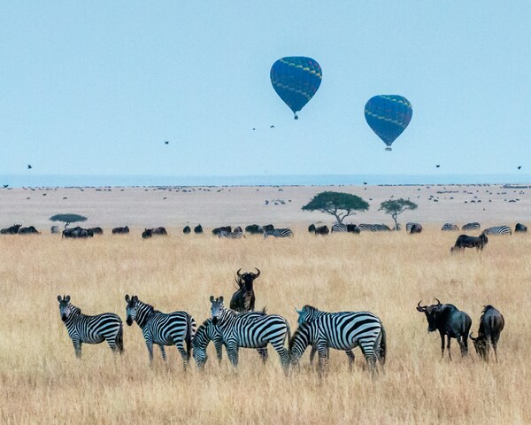 Early morning hot air ballooning over Maasai Mara