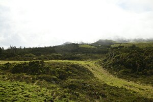 Pico Island