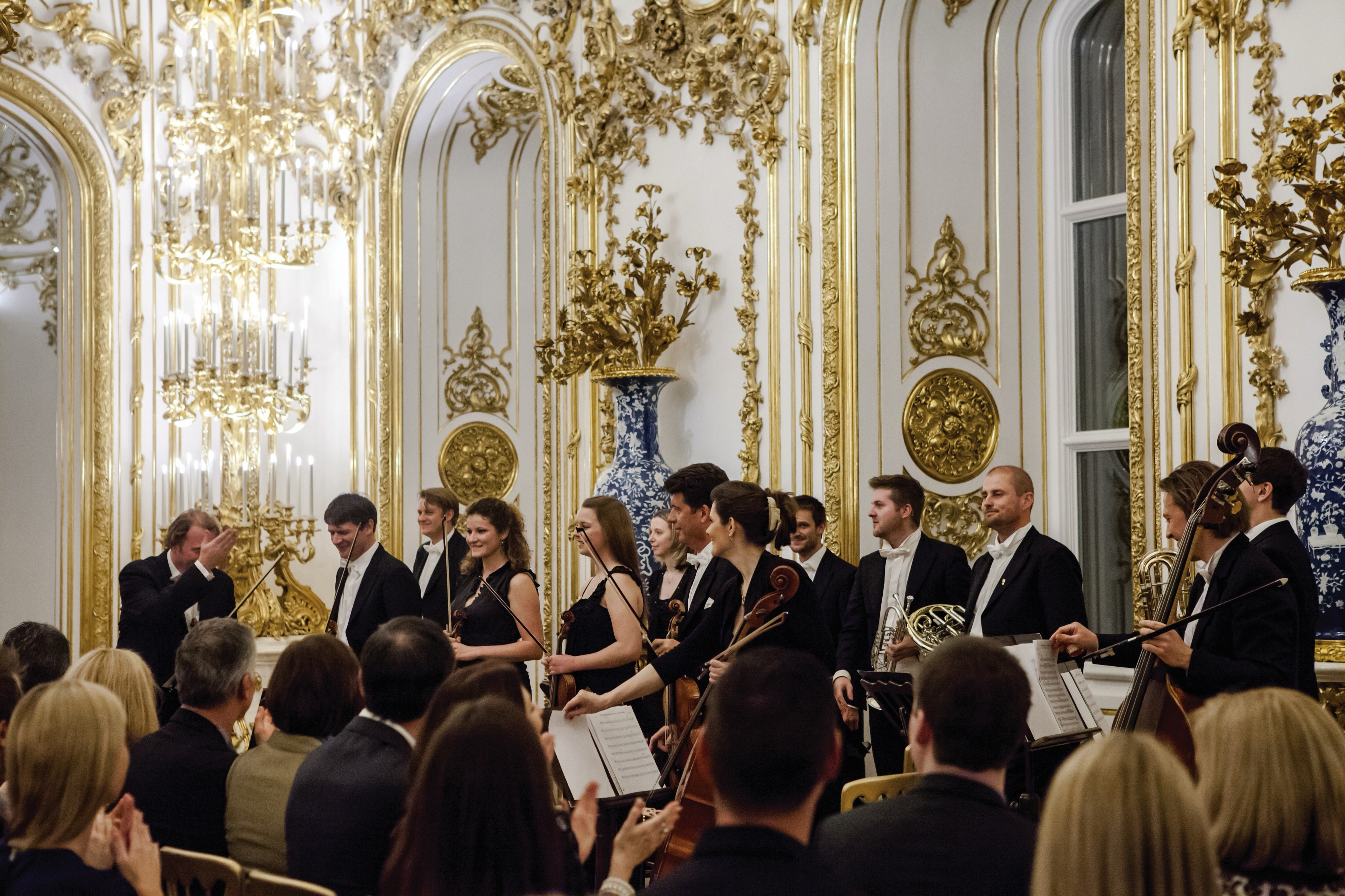 Cocktail Party and Private Performance at Vienna’s City Palace