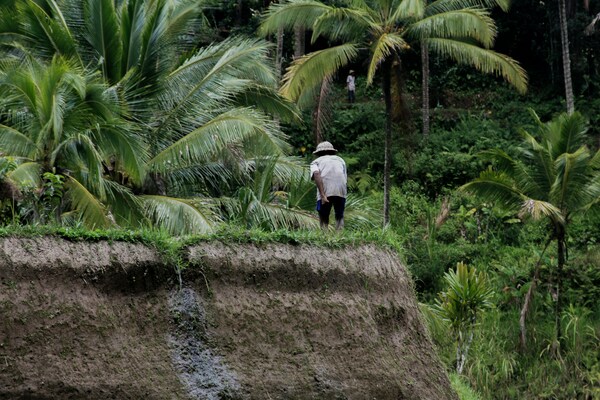 Ubud, Gianyar, Bali, Indonesia