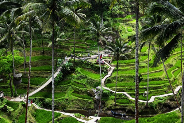 Ubud, Gianyar, Bali, Indonesia