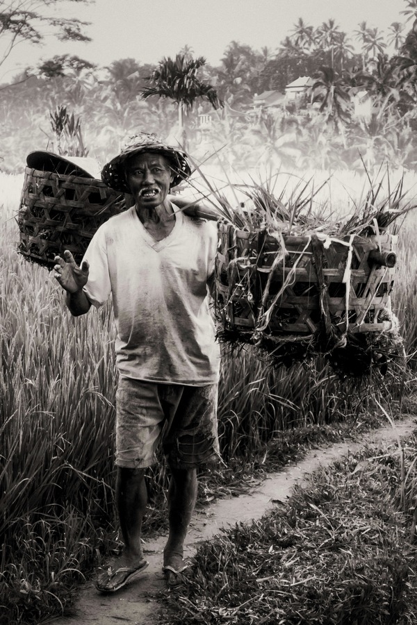 Ubud, Gianyar, Bali, Indonesia