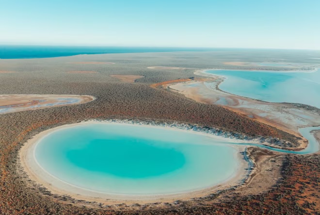 Shark Bay Wildlife Cruise