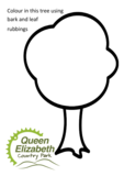 Queenelizabethcountryparkbarkrubbing