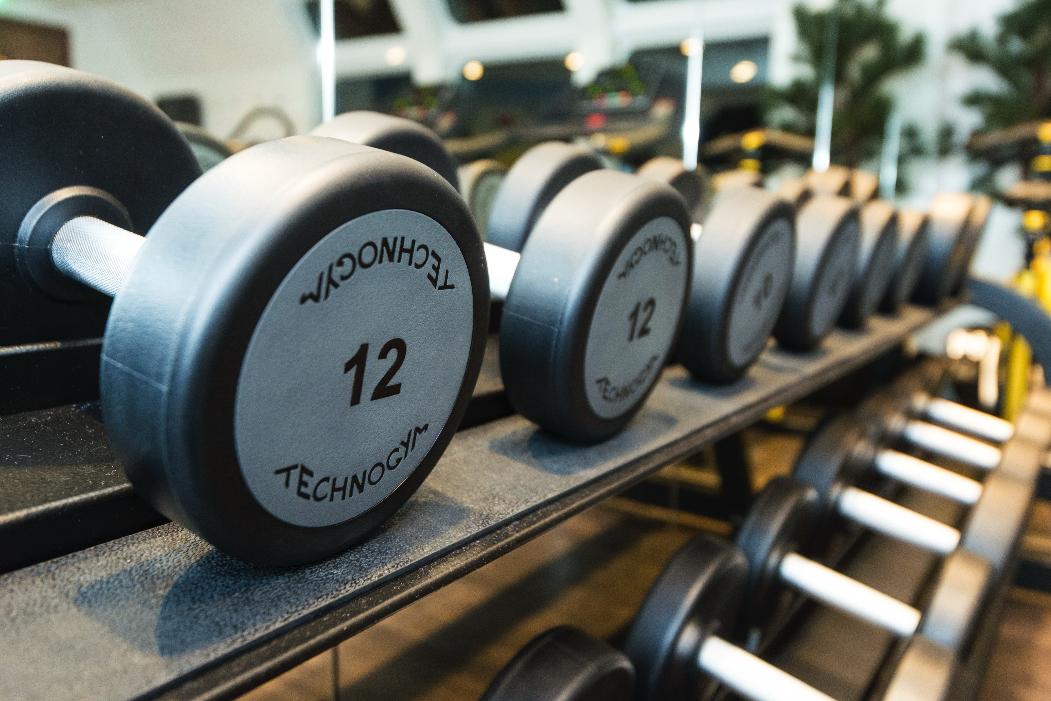 Sauna and Fitness Room
