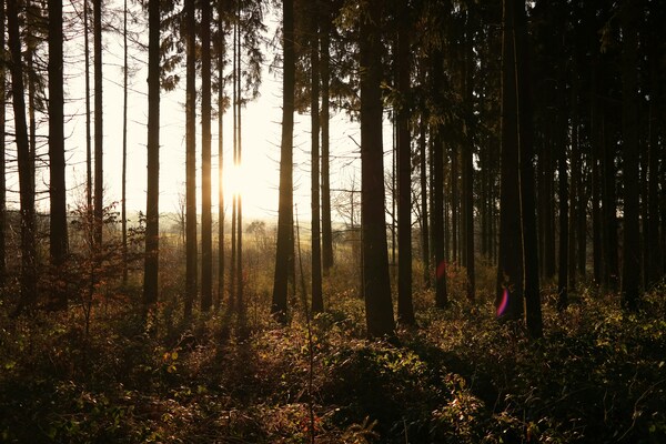 Wiesbaden, Germany