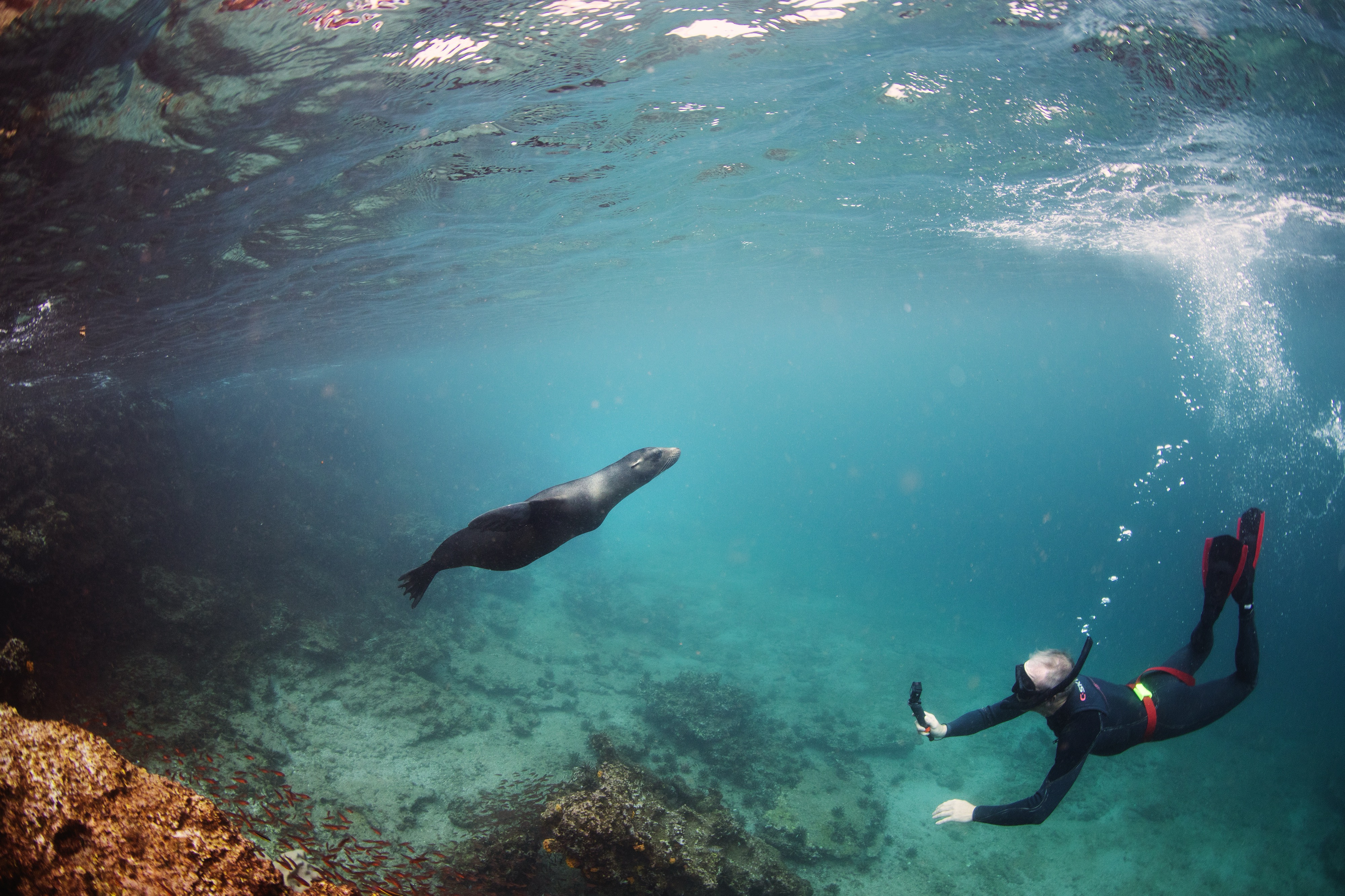 Snorkeling