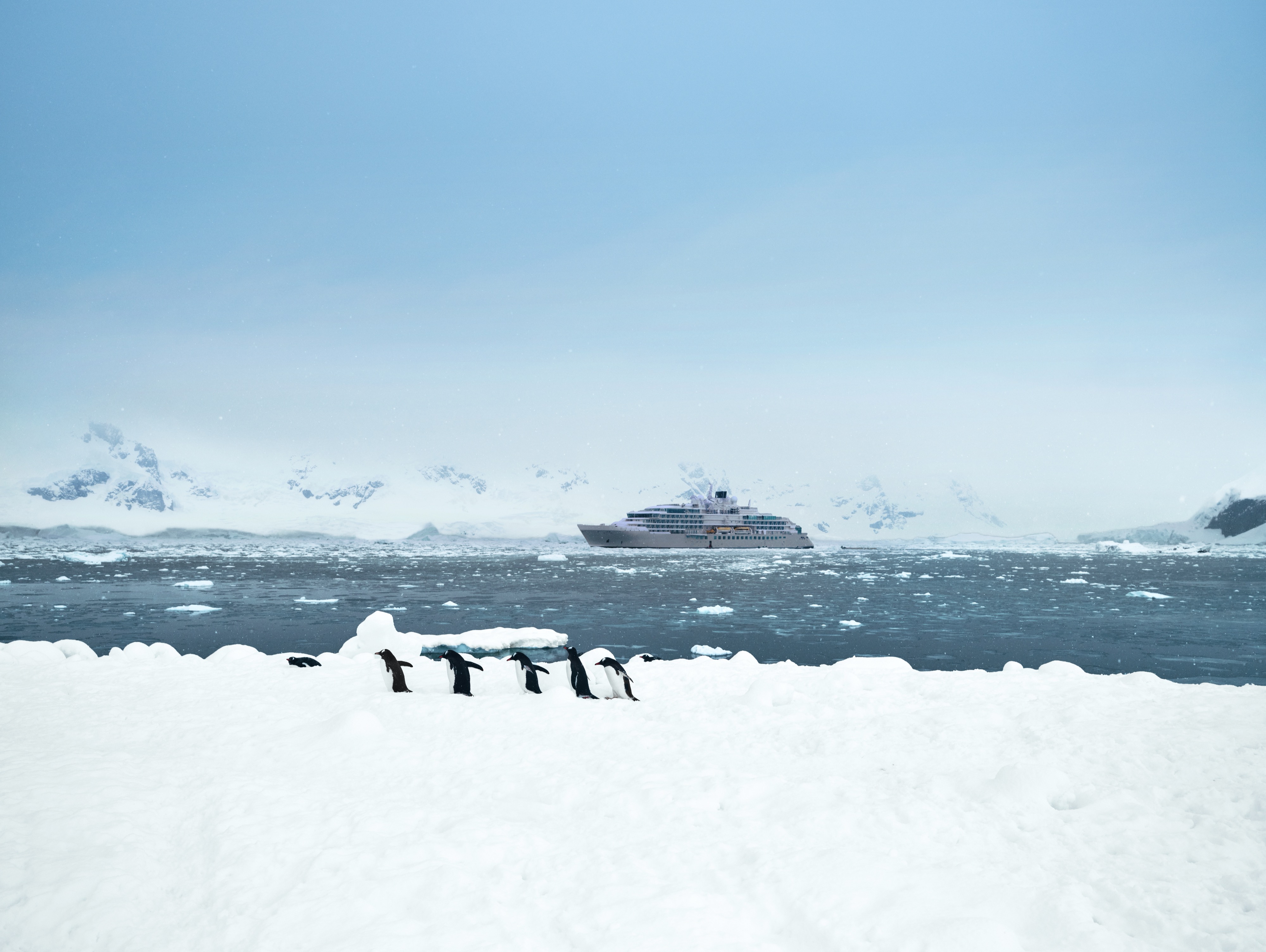 Expedition Experiences