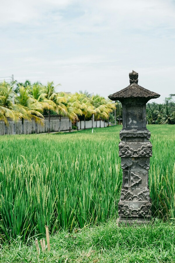 Ubud, Indonesia
