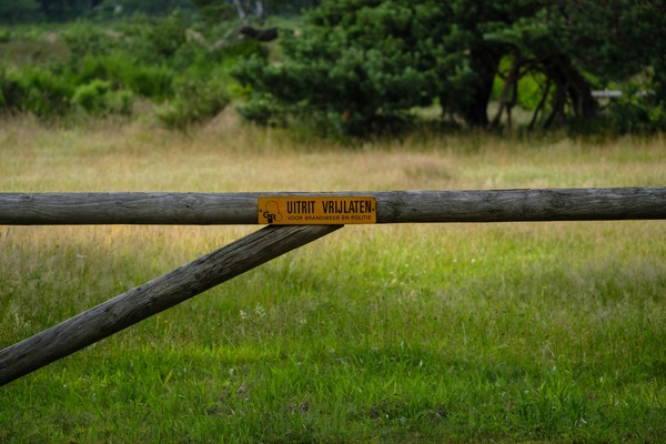 Limitische Heide, Huizen, Netherlands