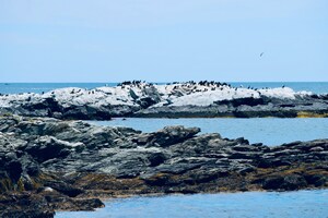 Newport, Rhode Island