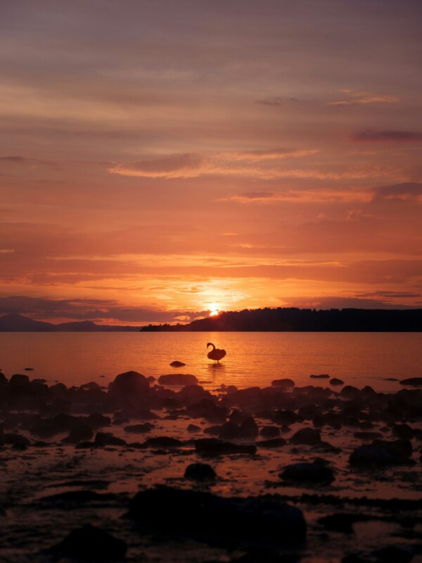 Waipahihi, Taupō, New Zealand