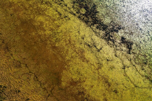 Aerial view over Kakadu National Park