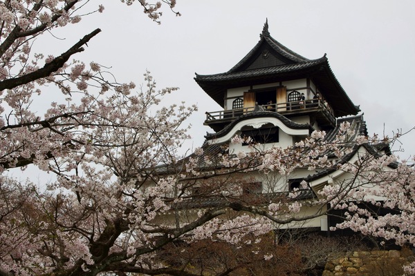 Japan, Aichi, Inuyama, Kitakoken−65-2 犬山城
