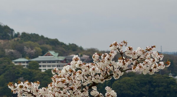 Meijimura, Uchiyama, Inuyama, Aichi, Japan