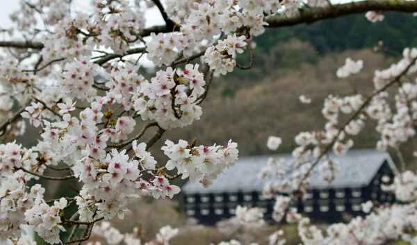Japan, Aichi, Inuyama, Uchiyama, 明治村