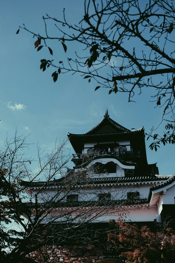 Inuyama Castle, 北古券-65-2 Inuyama, Aichi, Japan